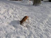 IMG 2069